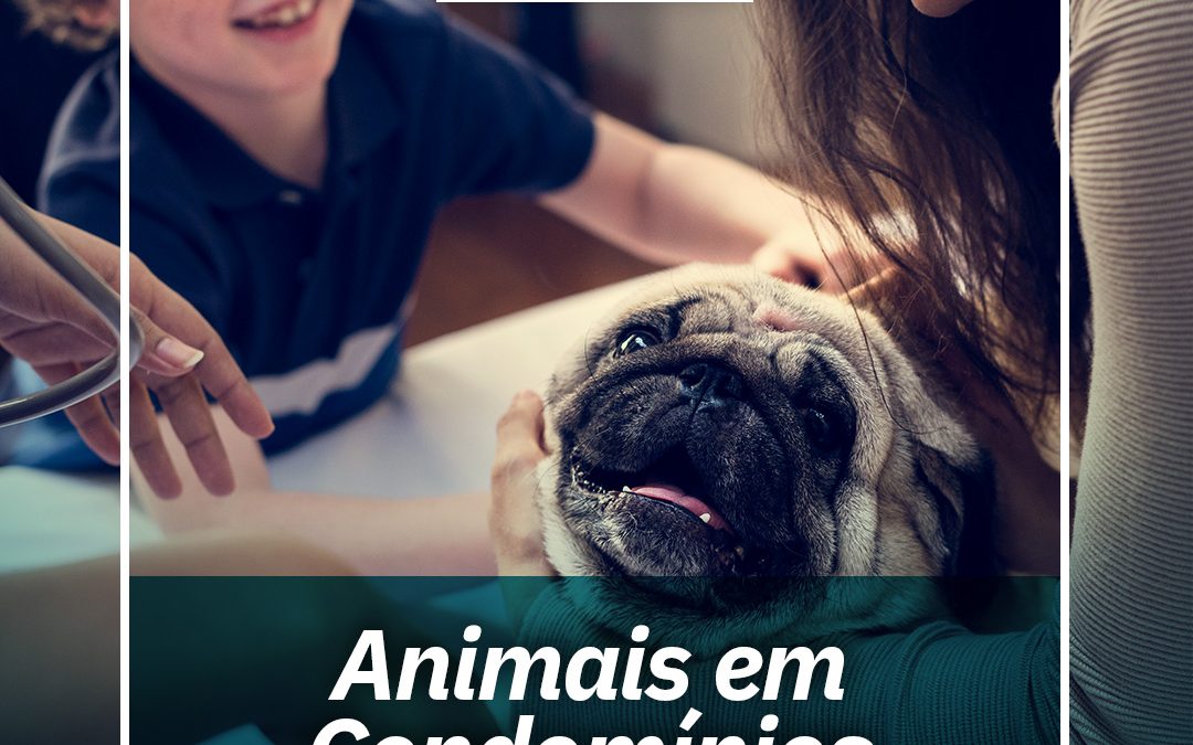 Animais em Condomínios